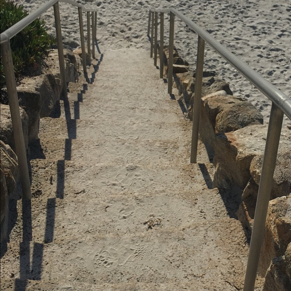 Meet your Posher, Nidia